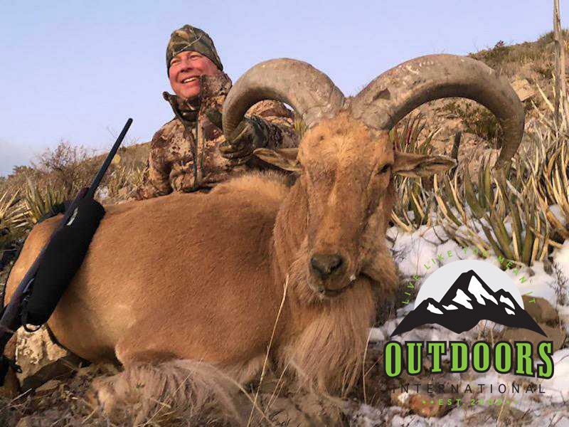 Mark with a nice ram