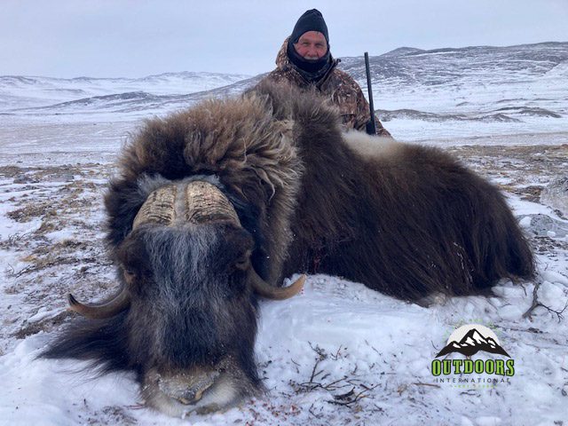 Keith Fitzhenry with his Greenland Muskox