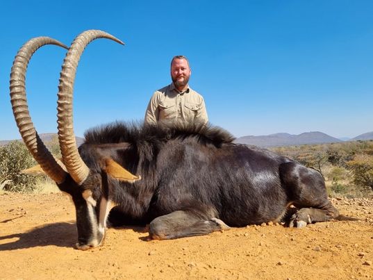 Sable hunting in South Africa