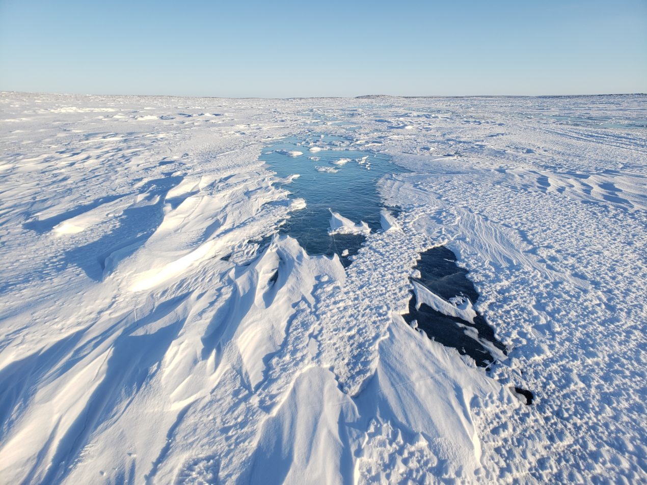 Ice Snow Arctic CNO1 » Outdoors International Very little cover