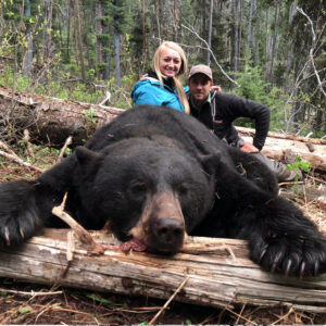 Wyoming Black Bear Hunt