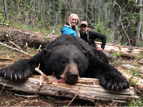 Wyoming Black Bear Hunt