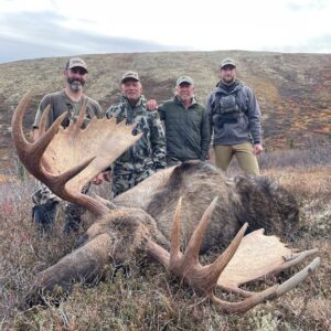 Trophy Alaska moose hunting.