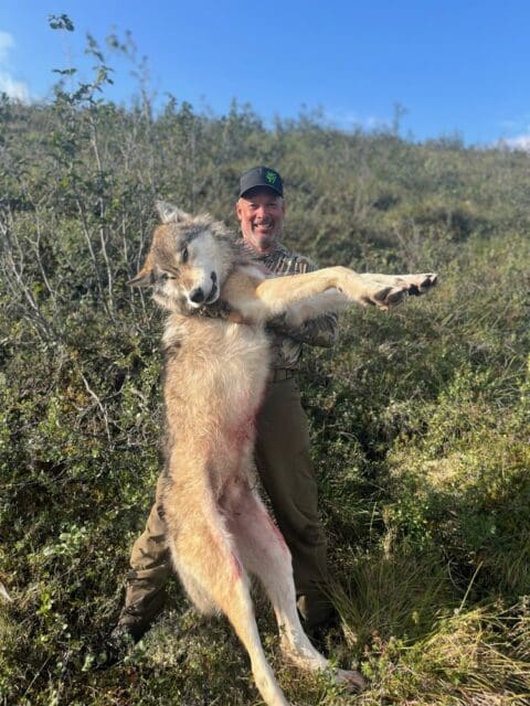 Always have a wolf tag in your pocket!