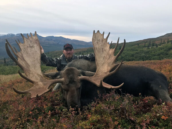 Trophy DIY Moose Hunt in Alaska SLO » Outdoors International Alaska Moose hunting