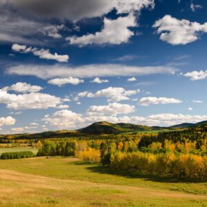 Alberta