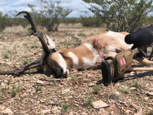Mark Sij Client Pronghorn Antelope New Mexico 2022 K9CO » Outdoors International OI client Mark Sij took a beautiful antelope in New Mexico with one of our premier outfitters.