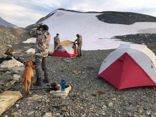 Mountain Goat Camp