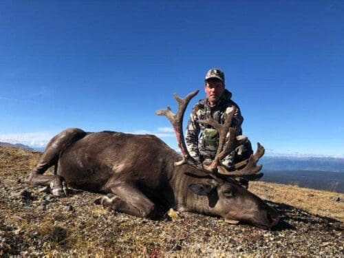 Randy Taylor Client British Columbia Caribou 2022 BCS » Outdoors International BC Mountain Caribou