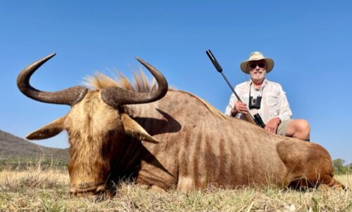 Africa-Golden-Wildebeest-Limpopo-District-SA-Oct-3-2022 Thomas Driskill CLient DWHS » Outdoors International Thomas with his Golden WIldebeest