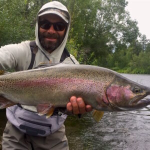 Giant rainbow trout