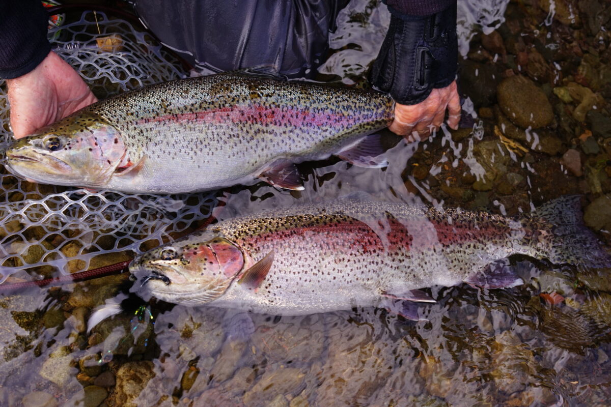 Kamchatka Double Rainbow Trout Net BOK » Outdoors International Double rainbow