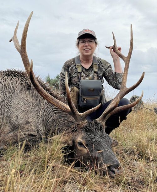 New Mexico Elk Sharron Beeson Client 2022 K9CO » Outdoors International Sharron with a nice bull elk.