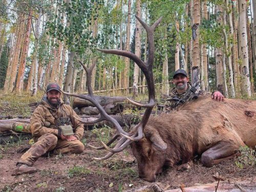 AJ with a spectacular Utah archery elk.
