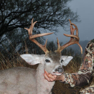 tom-droptine-2017-Mexico Coues Deer CO » Outdoors International Droptine Coues deer