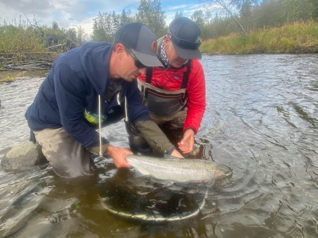 Alaska Steelhead Fishing Lodge Report by Gregg Prossen