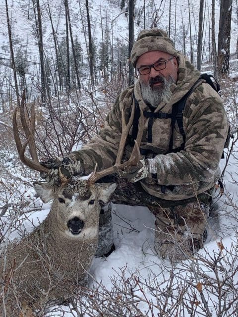 Idaho mule deer