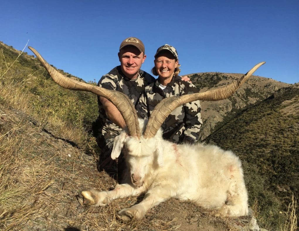 Pacific Goat are another widespread species in New Zealand, these feral billies could be an exciting addition to your adventure