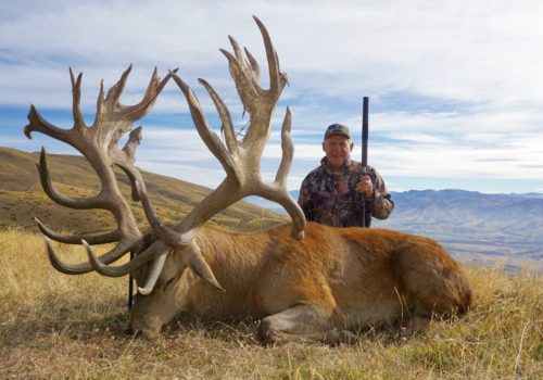 What can you hunt in New Zealand? Well, it almost always starts with a red stag.