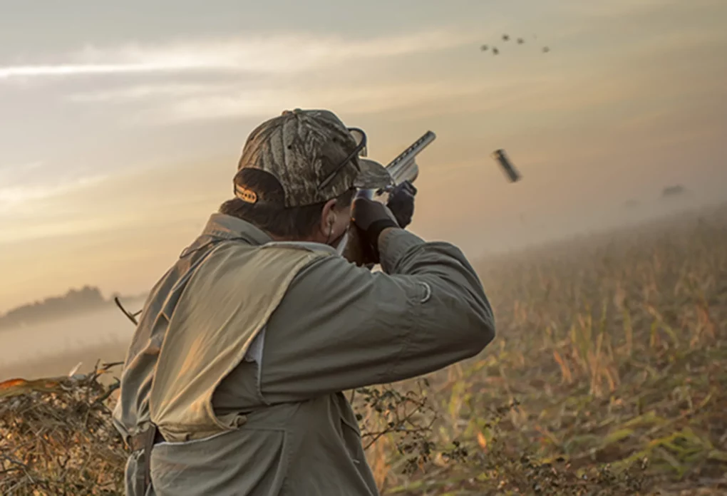 Hunting for Doves: Best Shooting Destinations in the World