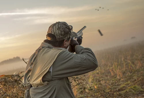 Dove hunting in Córdoba with field asado.