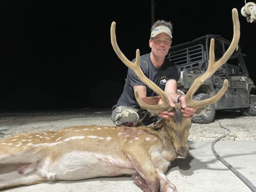 A nice Texas Axis Deer taken by an OI client