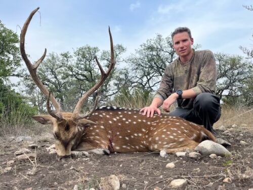 A beautiful Texas Axis Deer taken by OI client Randy Taylor