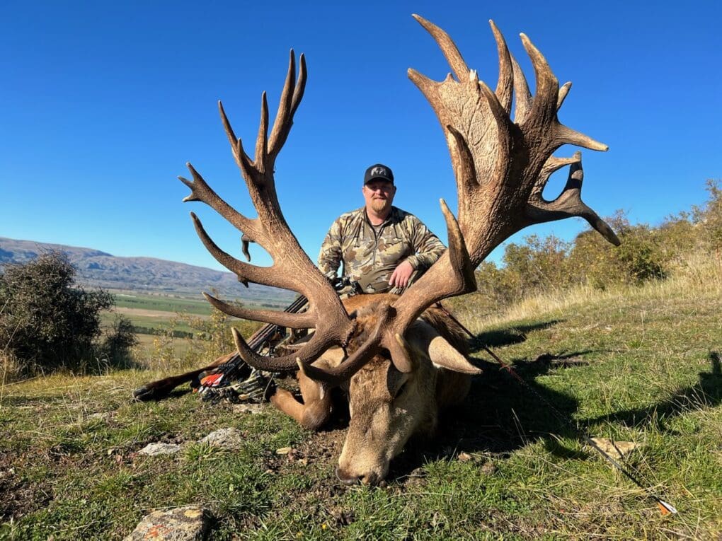 Rich with a giant New Zealand stag