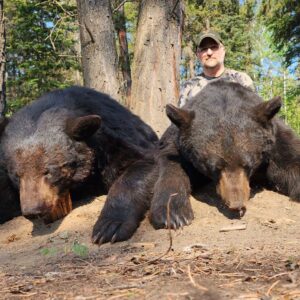 Bill Johnson with an Alberta black bear double!