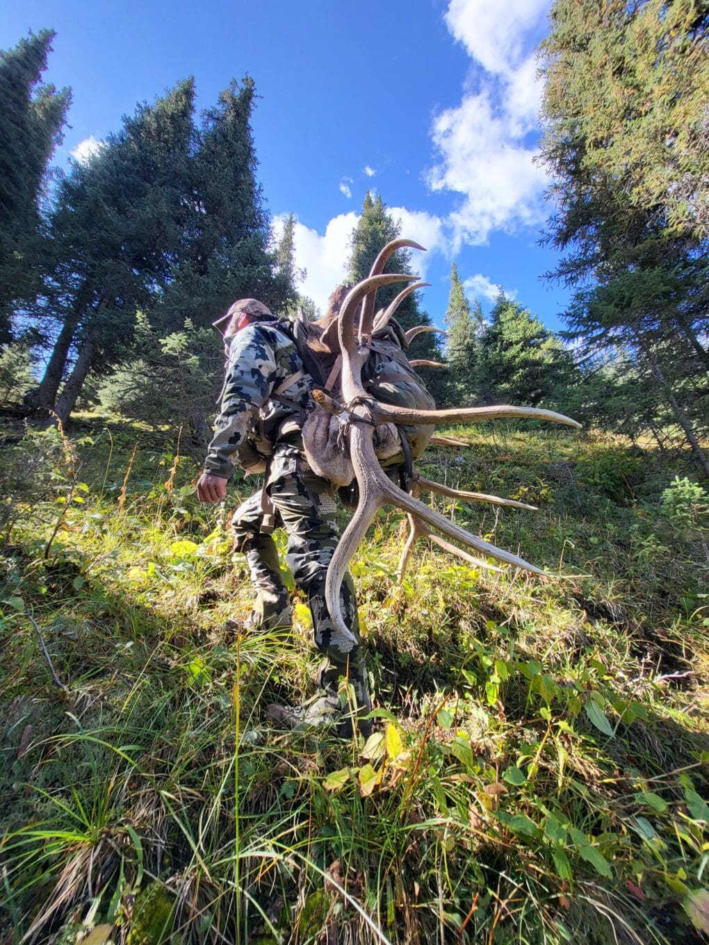 Packing out a Maral (Tian Shan Wapiti) stag