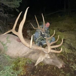 Maral stag hunting in Kazakhstan