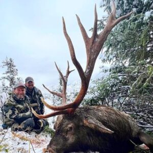 Maral stag hunting in Kazakhstan