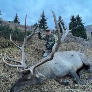 Maral stag hunting in Kazakhstan