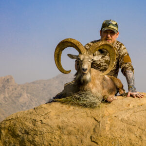 Pakistan Blandford Urial Hunting