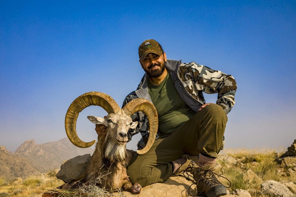 Pakistan Blandford Urial Hunting