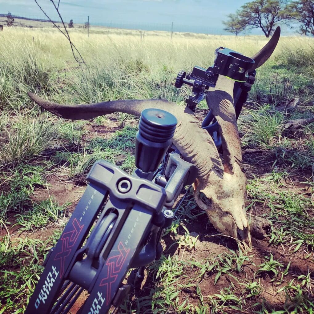 Hunting the Big Island of Hawaii