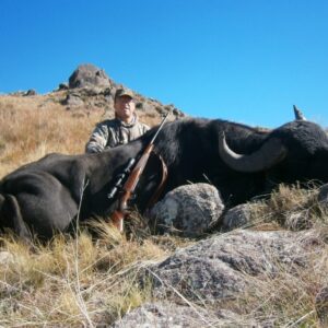 Buffalo hunting in Argentina
