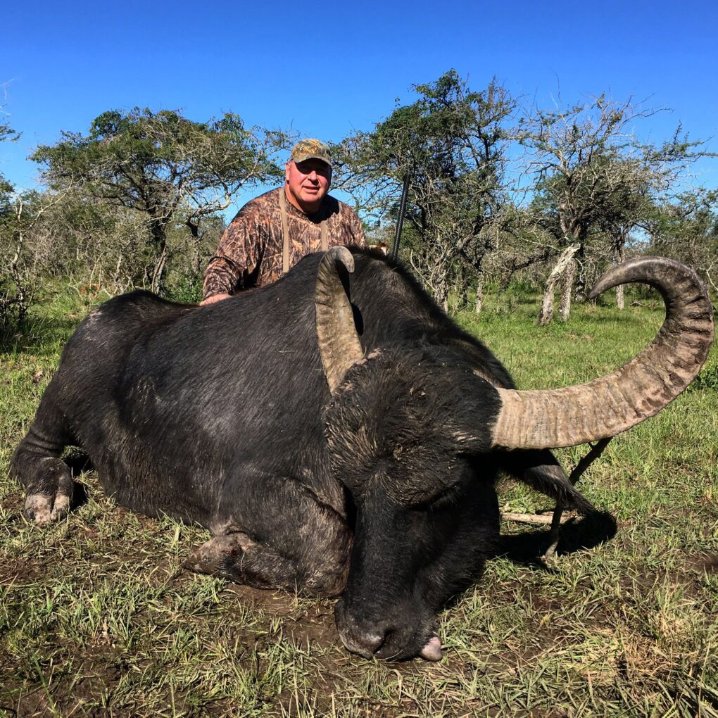 Corrientes Argentina Water Buffalo Free Range TGBO3jpg » Outdoors International Gold Medal Argentina Water Buffalo Hunting