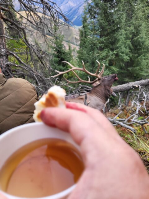 Enjoying some chai on the mounain.