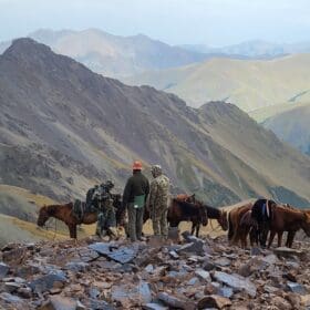 Horses are the primary mode of transportation when hunting in Asia.
