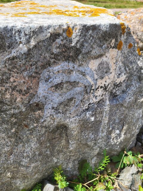 Ibex petroglyph