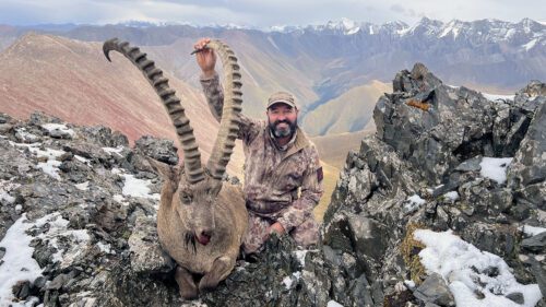 Cory Glauner with a beautiful mid-Asian ibex he hunted in Kazakhstan.