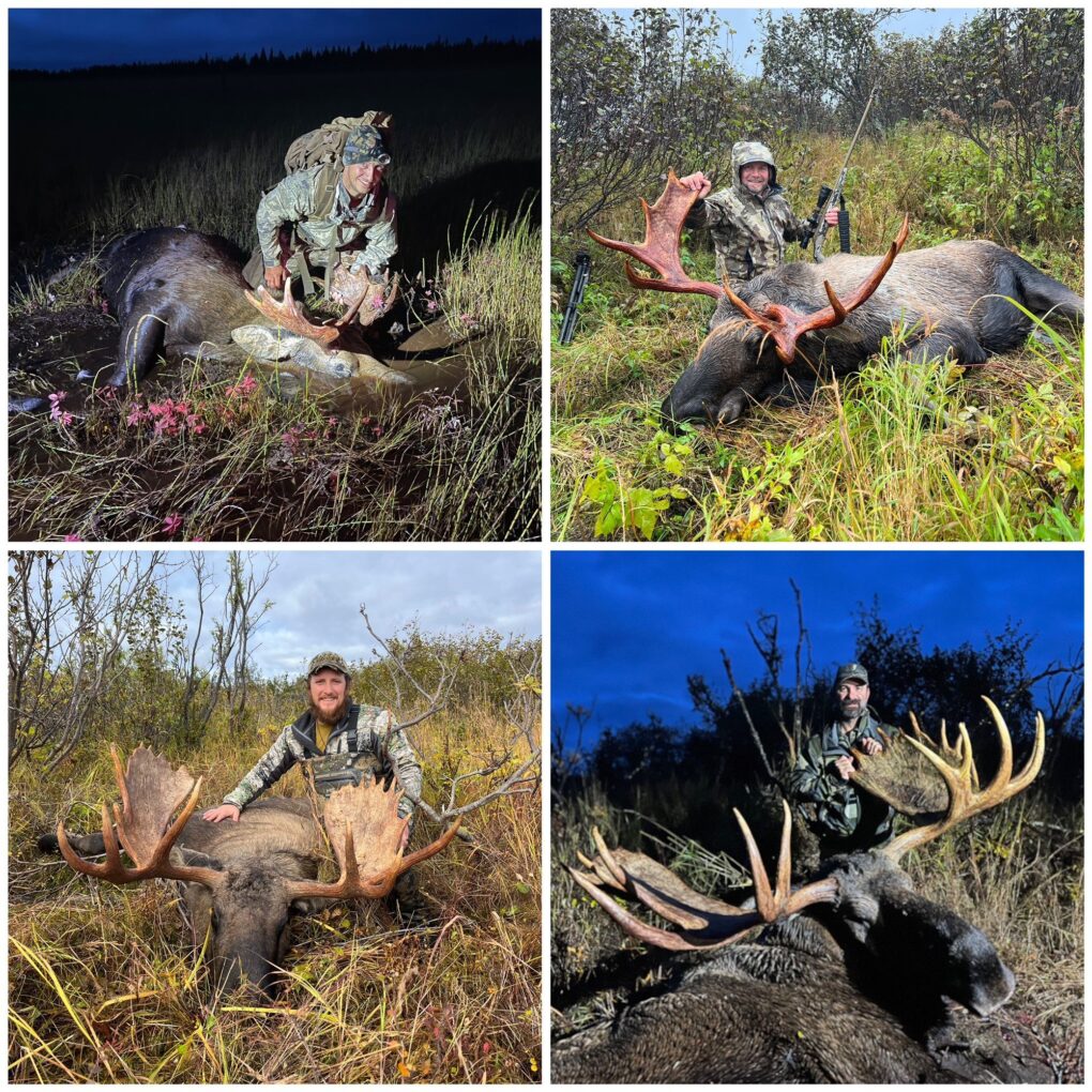 Four for four on an unguided moose hunt.