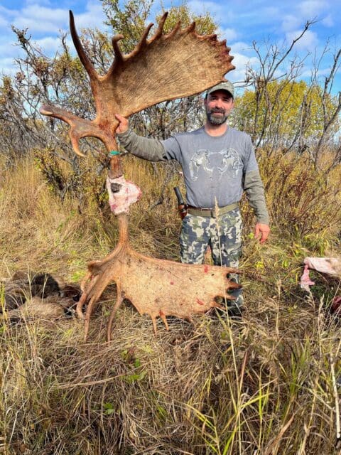 jesse Prier 2023 Client RAA Unguided Moose Alaska » Outdoors International Moose are BIG