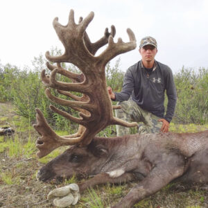 This is an incredible Yukon caribou hunt.