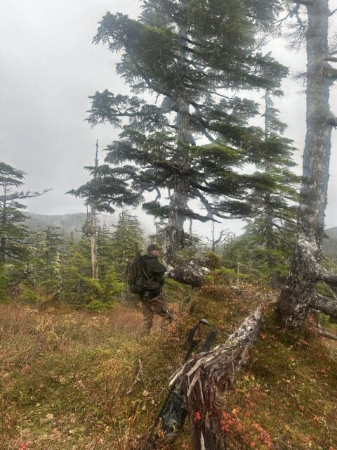 Hunting in the rain in Alaska.