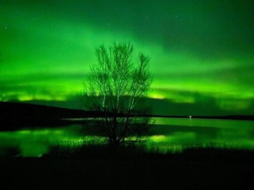 Alberta Canada Northern Lights