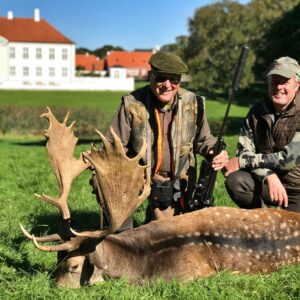 Sweden has some amazing fallow buck hunting.
