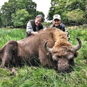 European bison are available.