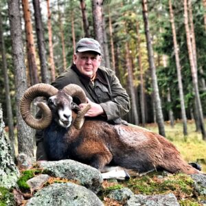 Superb mouflon hunting can be found in Sweden.